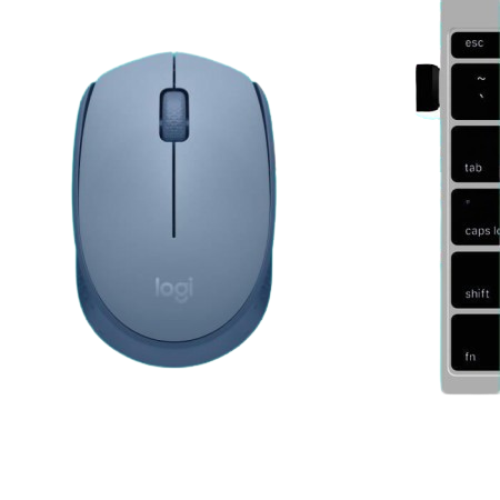 Logitech M171 Blue grey