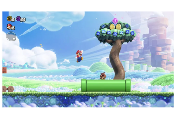 Bundle Carry Bag + Jeu Super Mario Bros Wonder