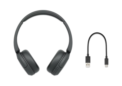 Sony WH-CH520 Noir