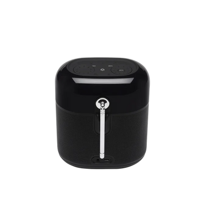 JBL Tuner XL Noir
